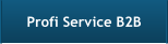 Profi Service B2B