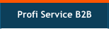 Profi Service B2B